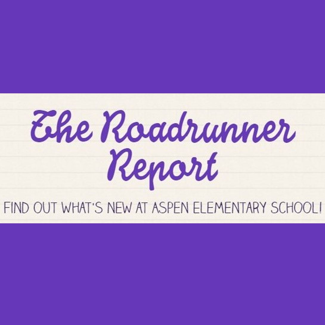 Roadrunner Report